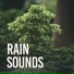Nature Sounds