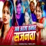 Chanda Raj, Paro arti