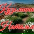 Наталья Кузьмина