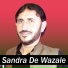 Syeed Wali Wazir