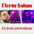 Florin Salam