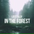 Lisstally
