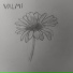 Valmi