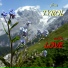 Tyrolean Grenadiers