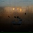 Tom Jahn feat. Julia Fehenberger, Pheast