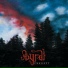 Byrdi