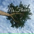 Mr. Flower feat. Matt Chelios, Fell Rios