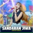 NIRWANA COMEBACK