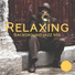 Calming Jazz Relax Academy