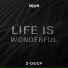 Z-DEEP