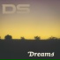 DS