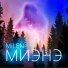MiLEN