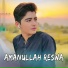 Amanullah Reswa