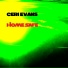 Ceri Evans
