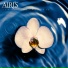 Airi's