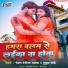 Ranjan Rangeela Yadav, Putul Pandey