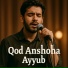 Ayyub