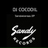 Dj Cocodil