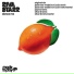 Riva Starr Feat Trim