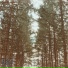 Inner Trails