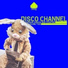 Disco Channel