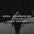 MOHA, AdamDarling, Hilaa