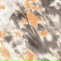 QuandoR