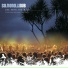 Salmonella Dub