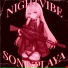 SONIXPLAYA