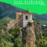 Joey Stebanuk