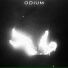 ZXLXN, SHINARI