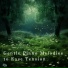 Relaxing BGM Project