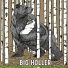 Big Holler