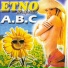Etno v grin