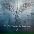 Everardo Camacho Wanless