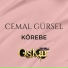 Cemal Gürsel