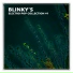 Blinky Blinky Computerband