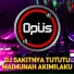 DJ Opus