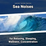 Coastal Sounds, Ocean Sounds, Nature Sounds