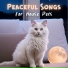 Pet Care Music Therapy