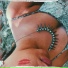 Picidia