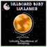 Billboard Baby Lullabies