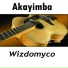 Wizdomyco
