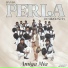 Banda Perla De Michoacán