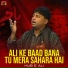Hub E Ali