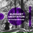 Deep Meditation Academy