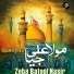 Zeba Batoo Nasir feat. Zeba Batool Nasir