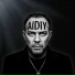 AIDIY