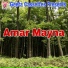 Sushanta Biswas
