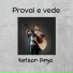 Nelson Pego